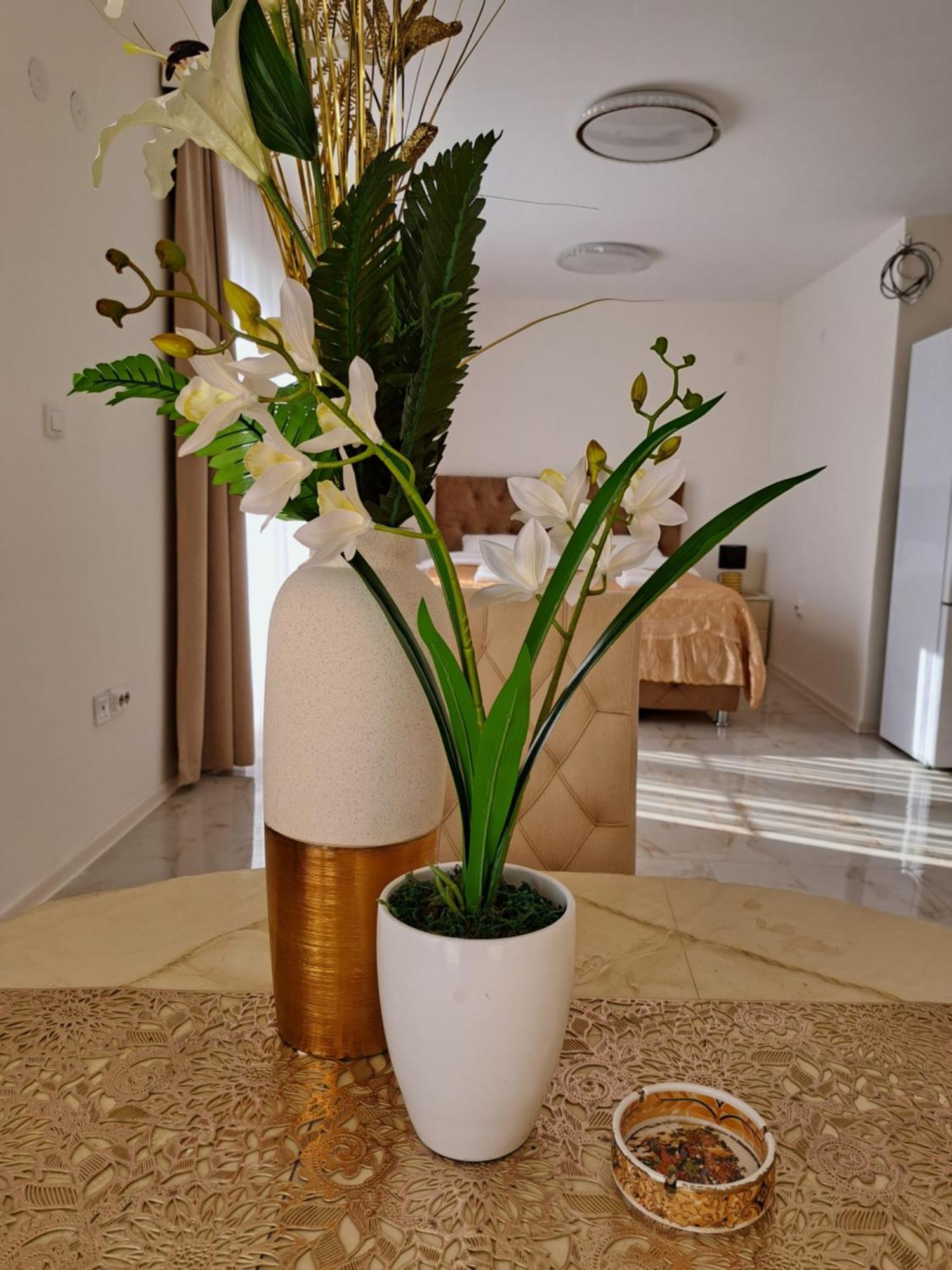 Dina Lux Apartman Jagodina Ngoại thất bức ảnh
